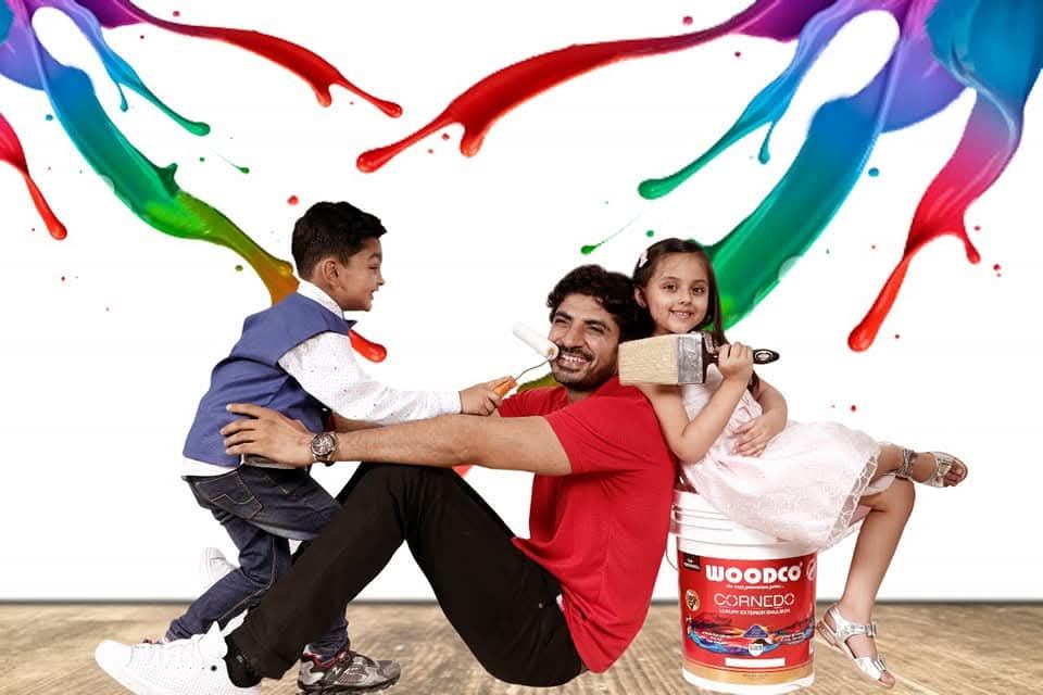 Woodco Paints campaign - TnTP Ads