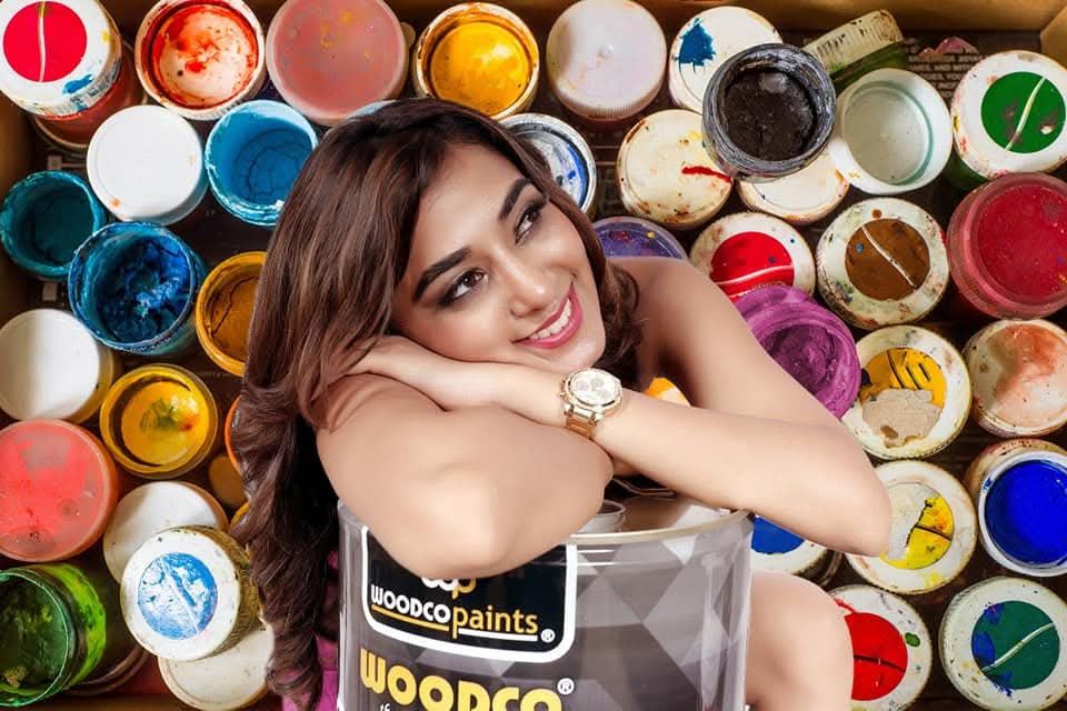 Woodco Paints campaign - TnTP Ads